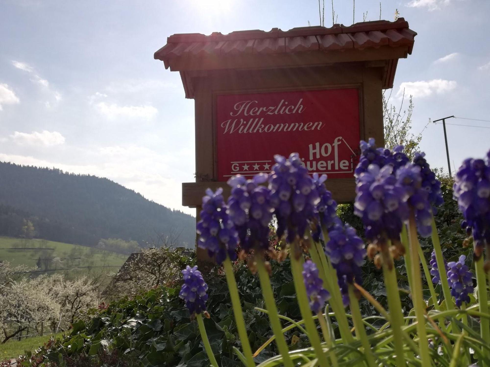 Hotel Baeuerlehof Seebach Zewnętrze zdjęcie